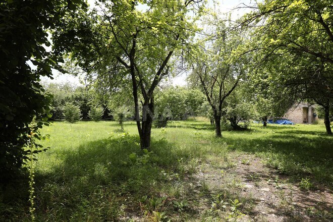Продаётся  участок 105 сот, photo 4 from 7