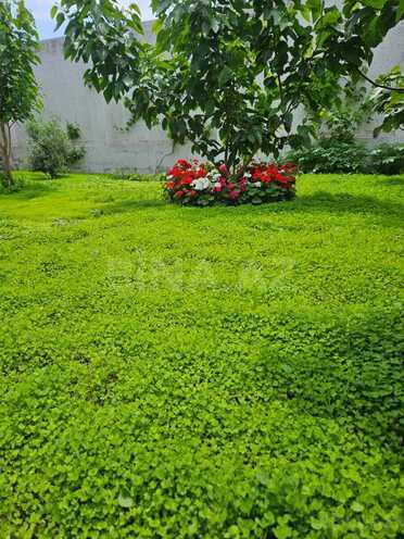 İcarəyə verilir 3 otaqlı həyət evi/bağ evi 360 m², Sea Breeze q., photo 7 from 31