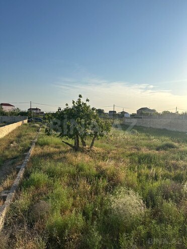 Satılır  torpaq 10 sot, Nardaran q., photo 4 from 6