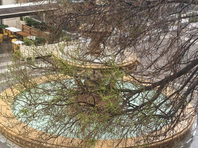 İcarəyə verilir 2 otaqlı köhnə tikili 85 m², Sahil m., photo 9 from 28