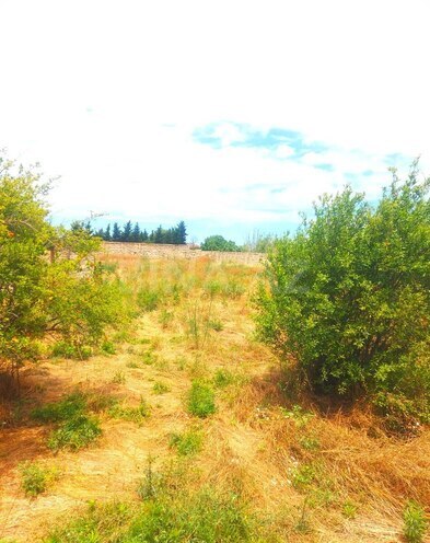 Satılır  torpaq 10 sot, Bilgəh q., photo 1 from 4