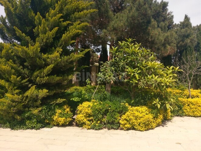 İcarəyə verilir 4 otaqlı həyət evi/bağ evi 350 m², Mərdəkan q., photo 8 from 18
