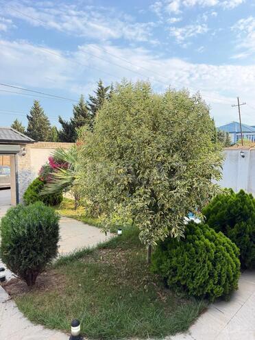 Satılır 4 otaqlı həyət evi/bağ evi 170 m², Mərdəkan q., photo 5 from 17