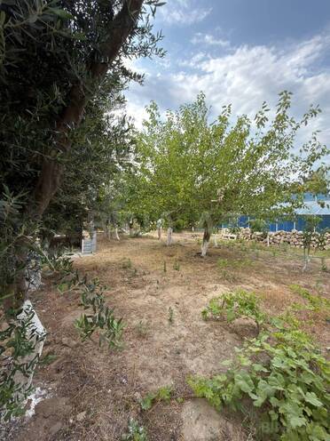 Продаётся 4-комн. дом/дача 260 м², пос. Гюргян, photo 10 from 25
