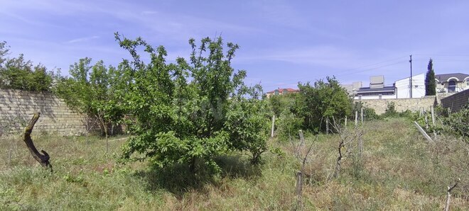 Satılır  torpaq 24 sot, Bilgəh q., photo 12 from 14