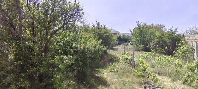 Satılır  torpaq 24 sot, Bilgəh q., photo 5 from 14