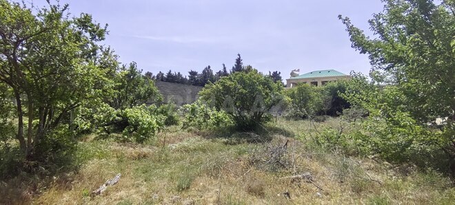 Satılır  torpaq 24 sot, Bilgəh q., photo 9 from 14