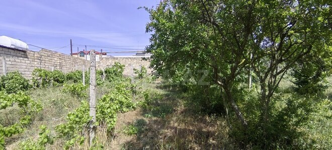 Satılır  torpaq 24 sot, Bilgəh q., photo 10 from 14