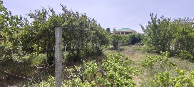 Satılır  torpaq 24 sot, Bilgəh q., photo 8 from 14