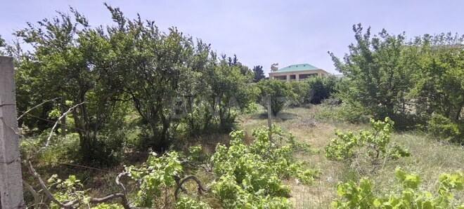 Satılır  torpaq 24 sot, Bilgəh q., photo 7 from 14