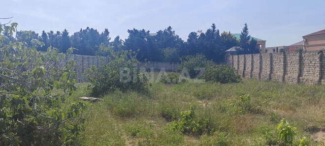 Satılır  torpaq 24 sot, Bilgəh q., photo 13 from 14