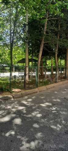 Сдаётся 4-комн. вторичка 100 м², м. Элмляр Академиясы, photo 1 from 21