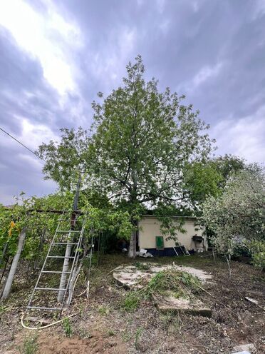 Satılır 4 otaqlı həyət evi/bağ evi 60 m², Novxanı q., photo 14 from 22