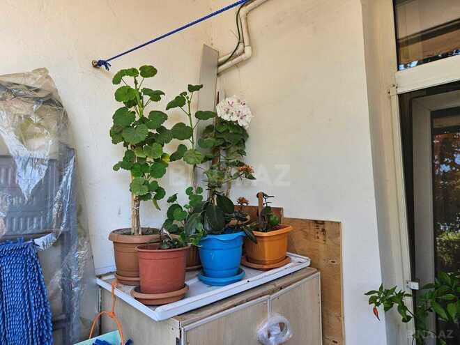 Продаётся 3-комн. вторичка 70 м², м. Ази Асланов, photo 10 from 22