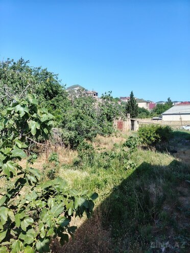 Satılır  torpaq 16 sot, Masazır q., photo 5 from 8