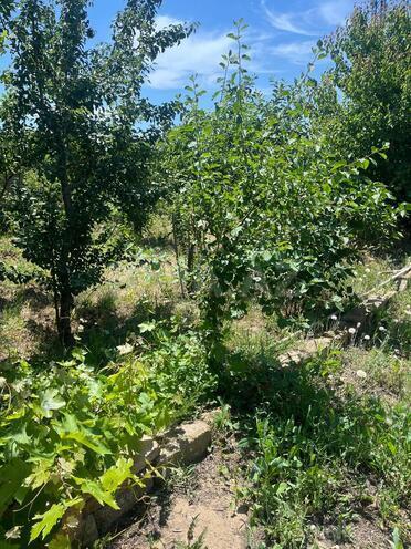 Продаётся  участок 5 сот, пос. Дюбенди, photo 1 from 8