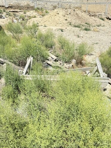 Satılır  torpaq 12 sot, Şıxov q., photo 13 from 15