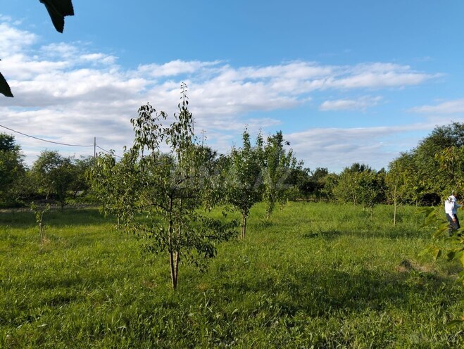 Продаётся  участок 10 сот, photo 4 from 8