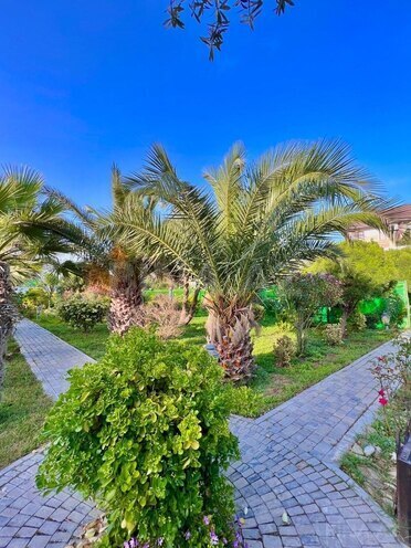 İcarəyə verilir 5 otaqlı həyət evi/bağ evi 300 m², Mərdəkan q., photo 12 from 32