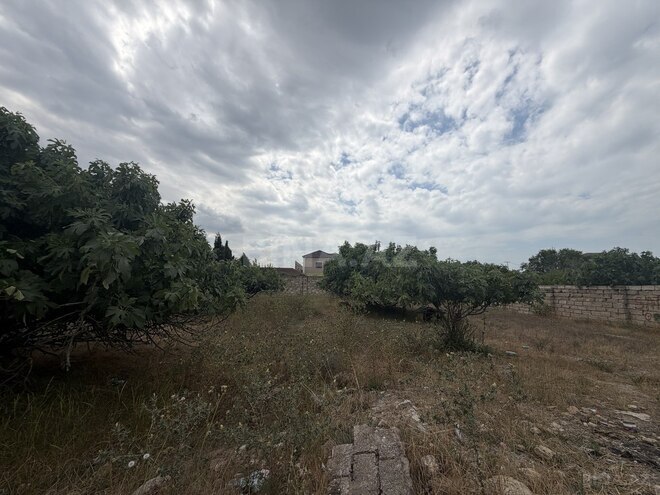 Satılır  torpaq 6 sot, Albalılıq q., photo 3 from 4