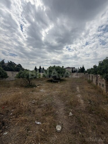 Satılır  torpaq 6 sot, Albalılıq q., photo 1 from 4