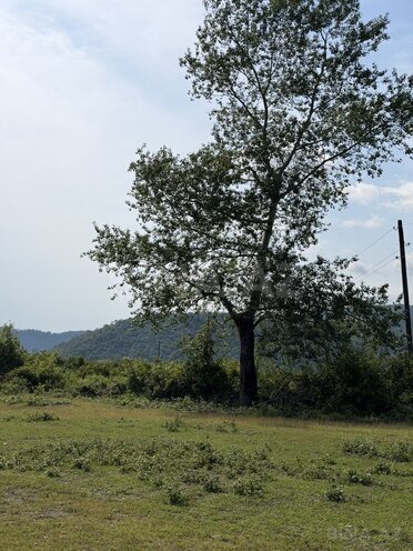 Продаётся  участок 70 сот, photo 4 from 13