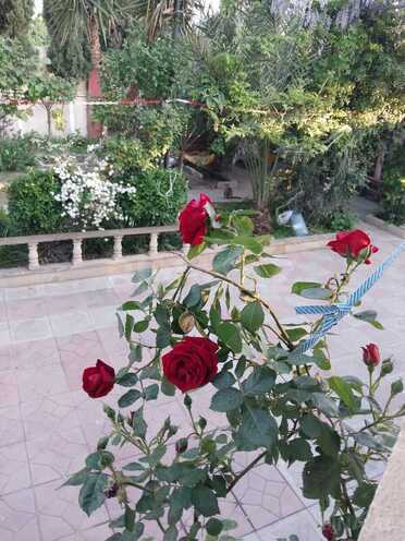 Сдаётся 3-комн. дом/дача 120 м², Сабунчинский  р., photo 8 from 17