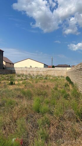 Продаётся  участок 12 сот, пос. Мардакан, photo 4 from 7