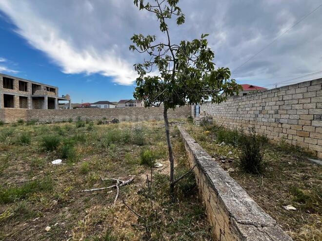 Satılır  torpaq 10 sot, Görədil q., photo 5 from 12