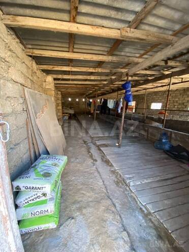 Satılır 2 otaqlı həyət evi/bağ evi 100 m², Türkan q., photo 4 from 12