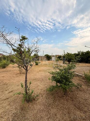 Satılır 4 otaqlı həyət evi/bağ evi 130 m², Pirşağı q., photo 12 from 27