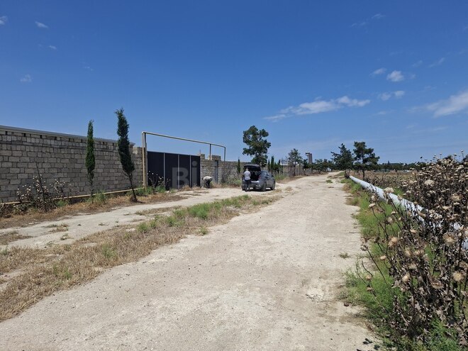 Satılır  torpaq 50 sot, Binə q., photo 6 from 7