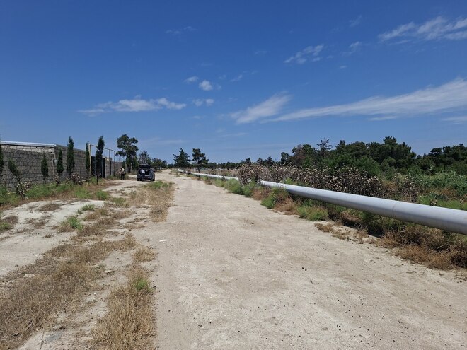 Satılır  torpaq 50 sot, Binə q., photo 4 from 7