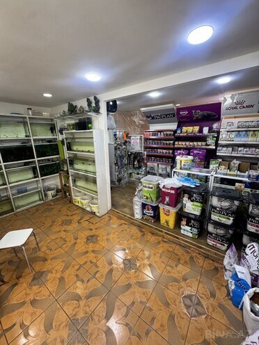 İcarəyə verilir  obyekt 65 m², İnşaatçılar m., photo 4 from 11