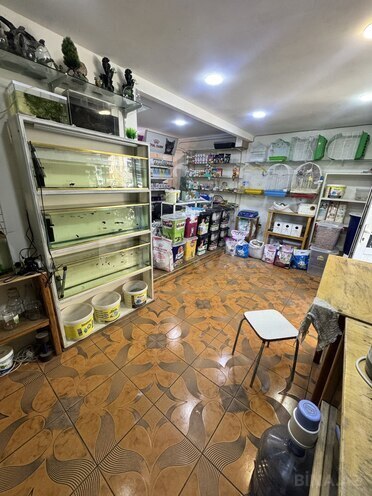 İcarəyə verilir  obyekt 65 m², İnşaatçılar m., photo 3 from 11