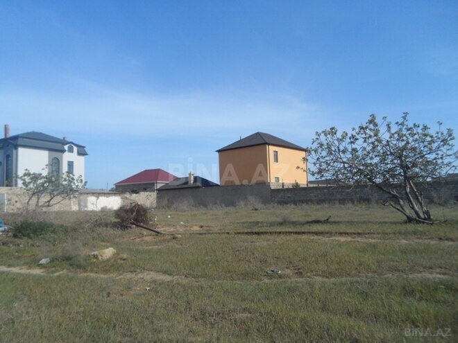 Продаётся  участок 500 сот, пос. Зире, photo 3 from 5