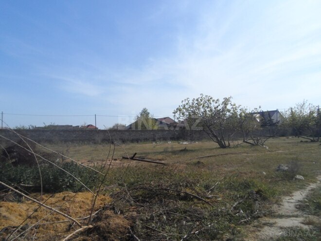 Продаётся  участок 500 сот, пос. Зире, photo 4 from 5