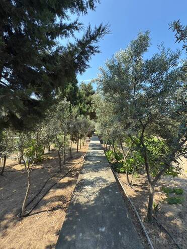 Satılır  torpaq 44 sot, Nardaran q., photo 8 from 9