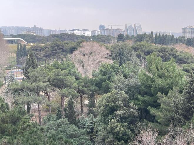 Satılır 3 otaqlı yeni tikili 137 m², Badamdar q., photo 8 from 14