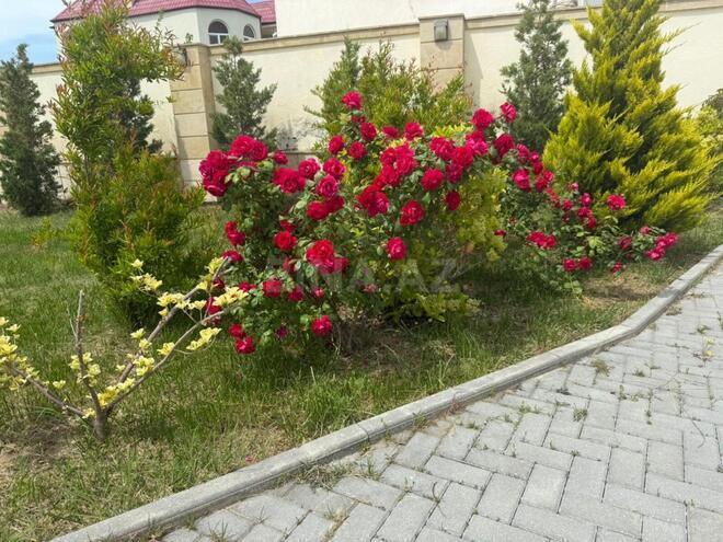 Сдаётся 6-комн. дом/дача 450 м², пос. Мардакан, photo 6 from 18