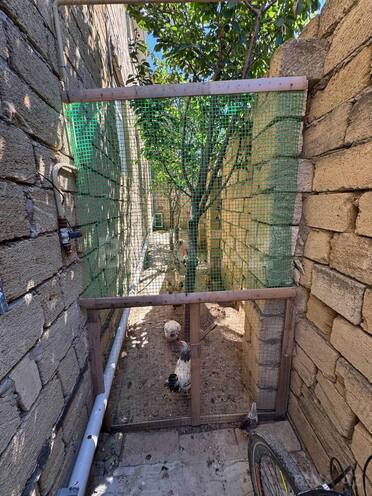 Satılır 8 otaqlı həyət evi/bağ evi 250 m², Masazır q., photo 27 from 32