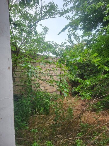 Satılır  torpaq 24.8 sot, Bilgəh q., photo 5 from 12