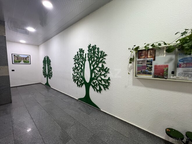 Satılır 4 otaqlı yeni tikili 180 m², Nəsimi r., photo 10 from 13