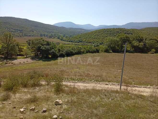 Satılır  torpaq 66 sot, photo 4 from 5