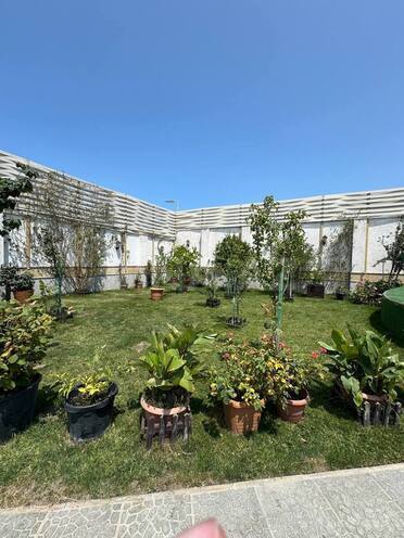 Продаётся 6-комн. дом/дача 450 м², пос. Мардакан, photo 31 from 32