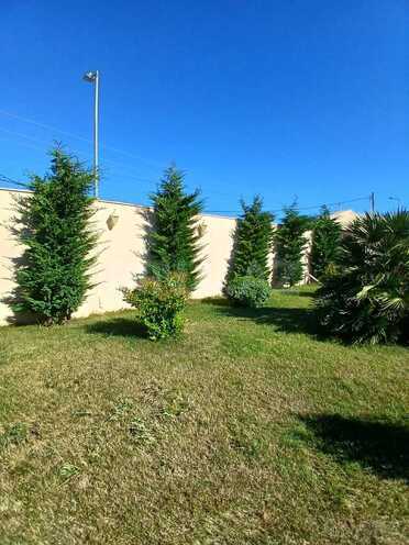 İcarəyə verilir 5 otaqlı həyət evi/bağ evi 250 m², Şüvəlan q., photo 7 from 32
