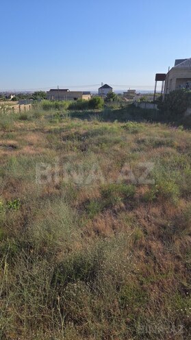 Satılır  torpaq 13 sot, Nardaran q., photo 3 from 6
