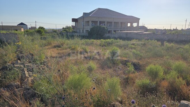 Satılır  torpaq 13 sot, Nardaran q., photo 1 from 6