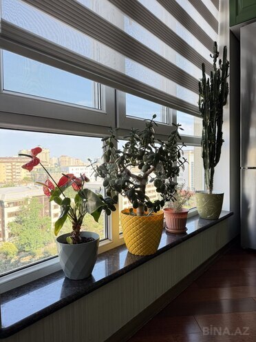 İcarəyə verilir 4 otaqlı yeni tikili 168 m², Elmlər Akademiyası m., photo 4 from 30