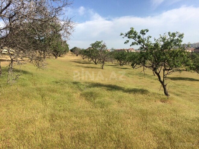 Satılır  torpaq 90 sot, Masazır q., photo 4 from 7